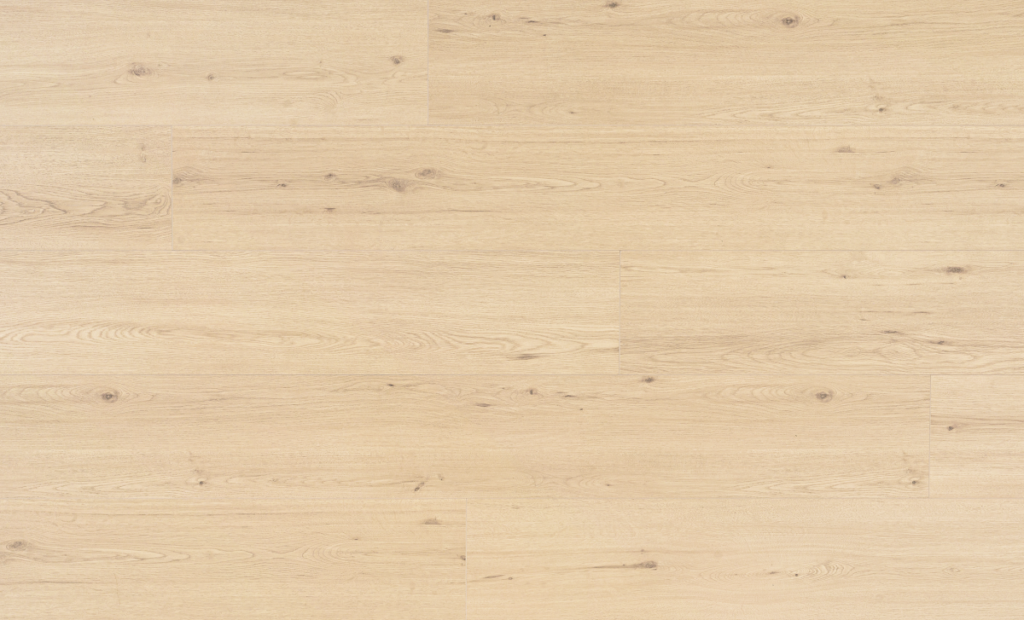 Chur Oak – D80641 CQ